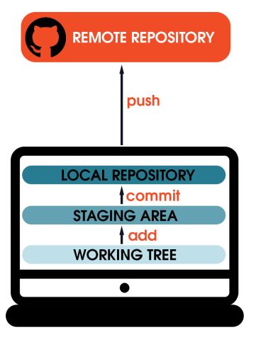 Git workflow