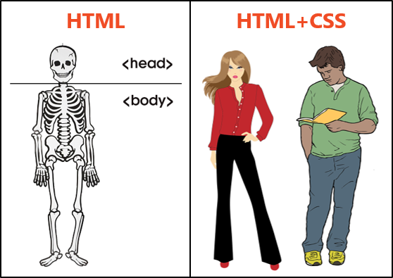 HTML and CSS